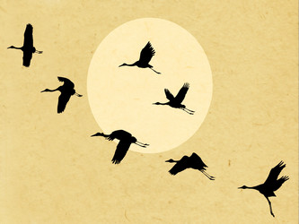 Similar image 896415