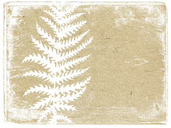 Similar image 896586