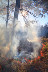 Similar image 896625