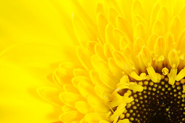 Similar image 896633