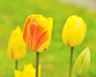 Similar image 896636