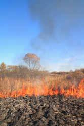 Similar image 896651