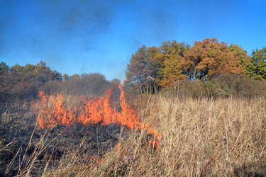 Similar image 896653