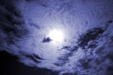 Similar image 896684