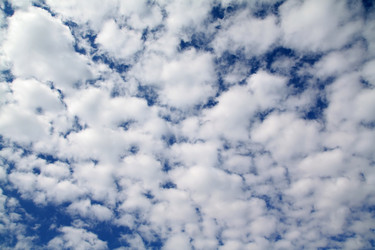 Similar image 896700