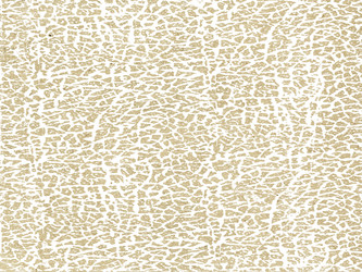 Similar image 896709