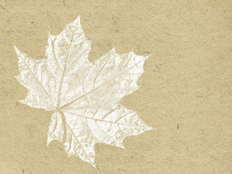 Similar image 896742