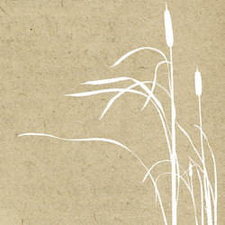 Similar image 896757