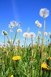 Similar image 896777