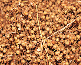 Similar image 896793