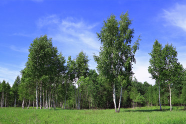 Similar image 896821