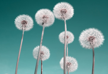 Similar image 896823