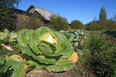 Similar image 896837