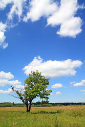 Similar image 896844