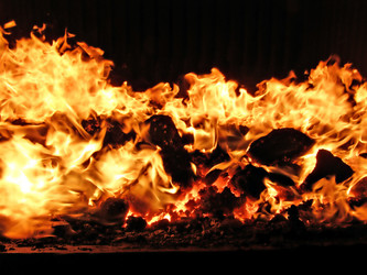 Similar image 896856