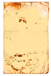 Similar image 896886