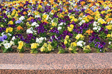 Similar image 896910