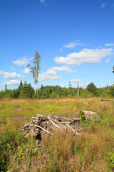 Similar image 896930