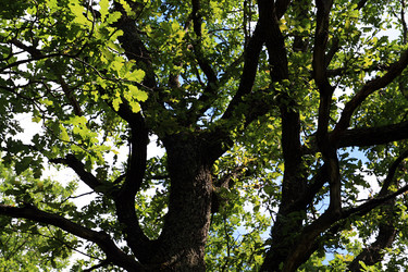 Similar image 896963