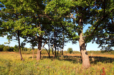 Similar image 896981