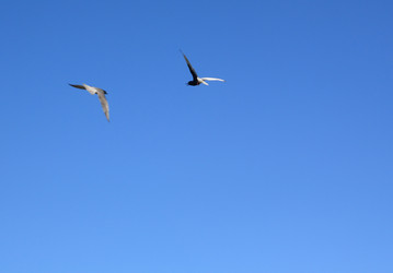 Similar image 897016