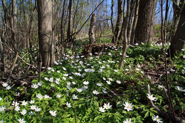 Similar image 897060