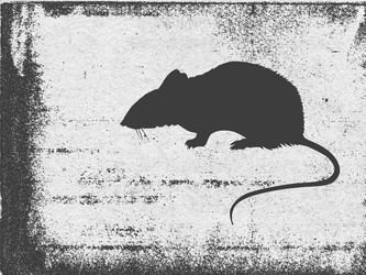 Similar image 897065