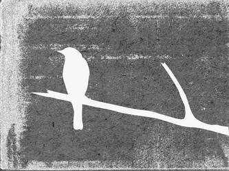 Similar image 897075