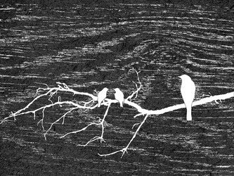 Similar image 897076