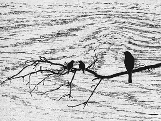 Similar image 897079