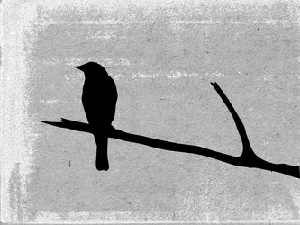 Similar image 897080