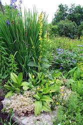 Similar image 897090