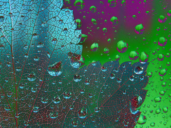 Similar image 897093