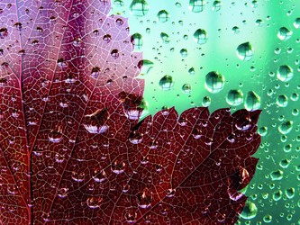 Similar image 897095