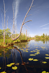 Similar image 897118