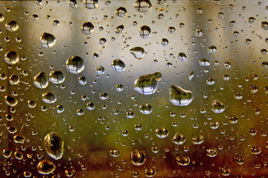 Similar image 897119