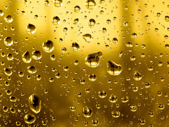 Similar image 897129