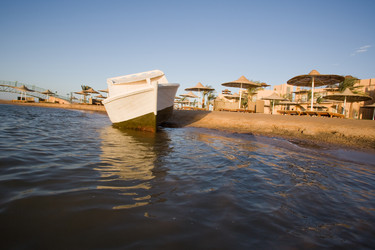 Similar image 897173