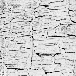 Similar image 897360