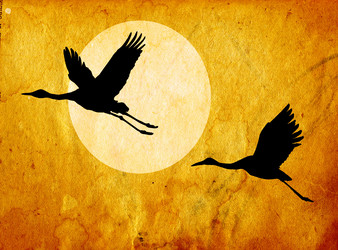 Similar image 897368