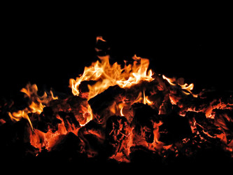 Similar image 897382