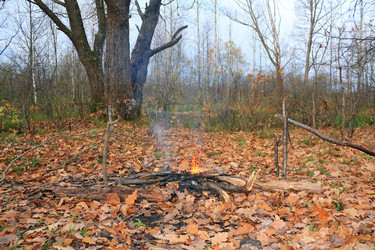 Similar image 897407