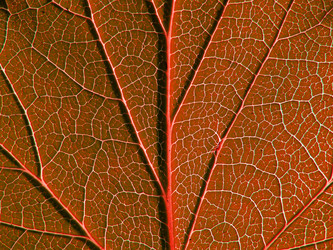 Similar image 897424