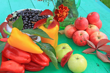 Similar image 897467