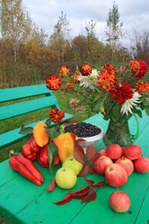 Similar image 897489