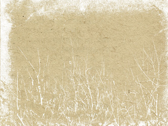 Similar image 897552