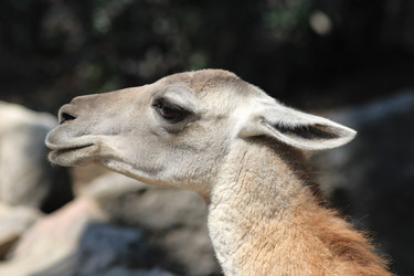 Similar image 897568