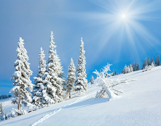 Similar image 897640