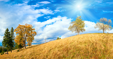 Similar image 897646