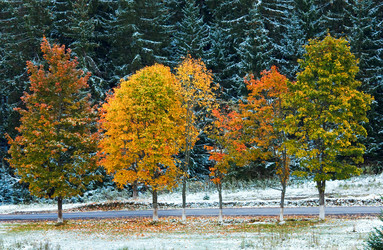 Similar image 897653